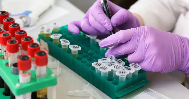 A researcher in a lab wearing purple gloves handling test tubes