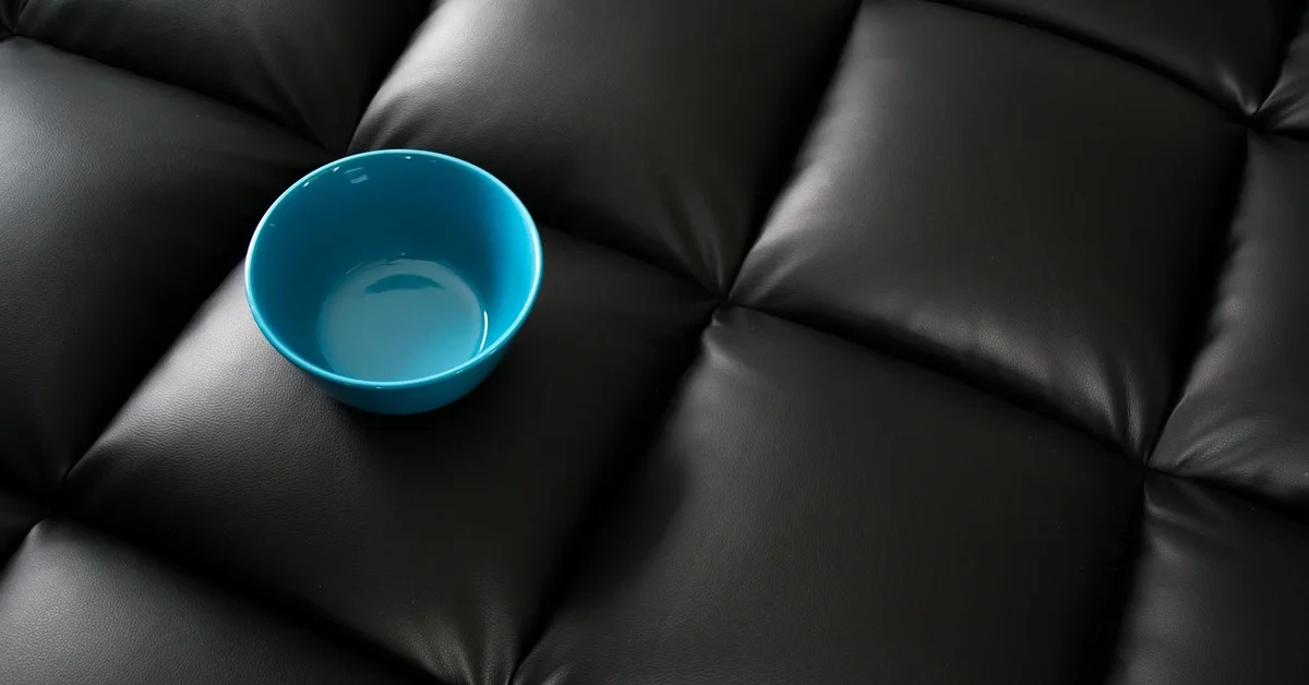 Blue plastic bowl resting on a dark black tufted leather surface
