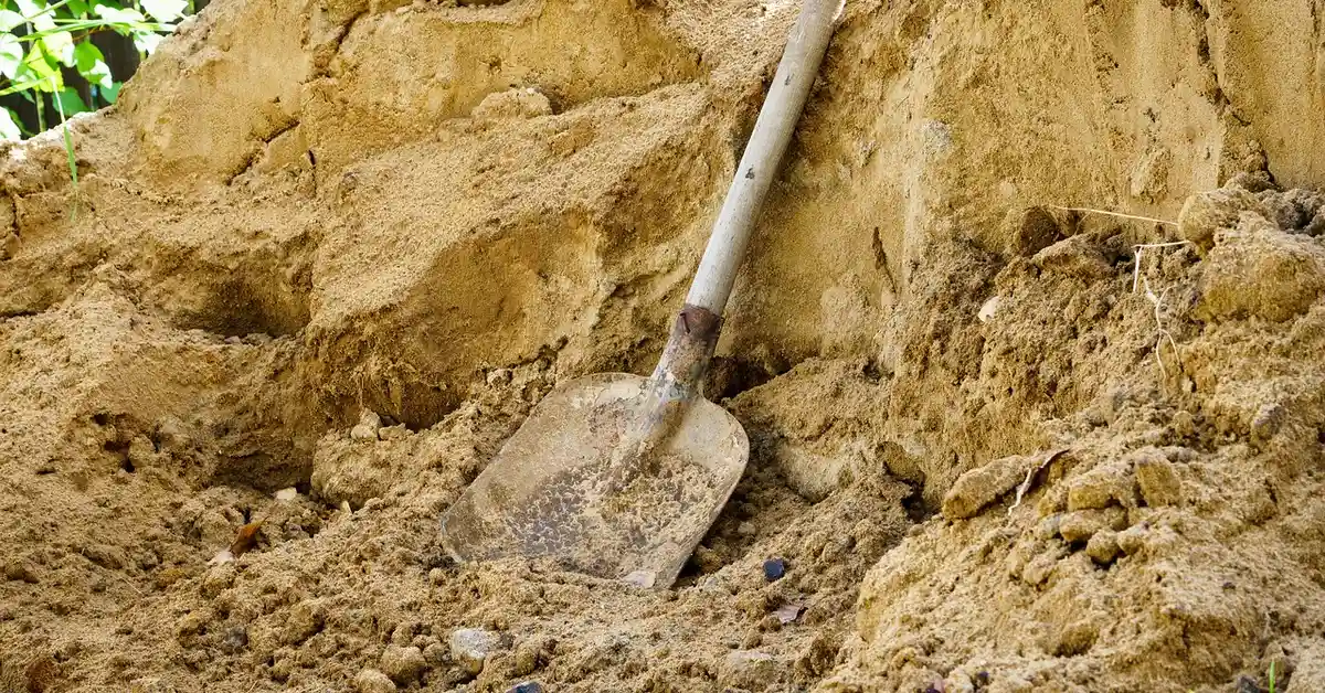 A shovel embedded in loose dirt at a small excavation site, representing digging and burrowing activity.