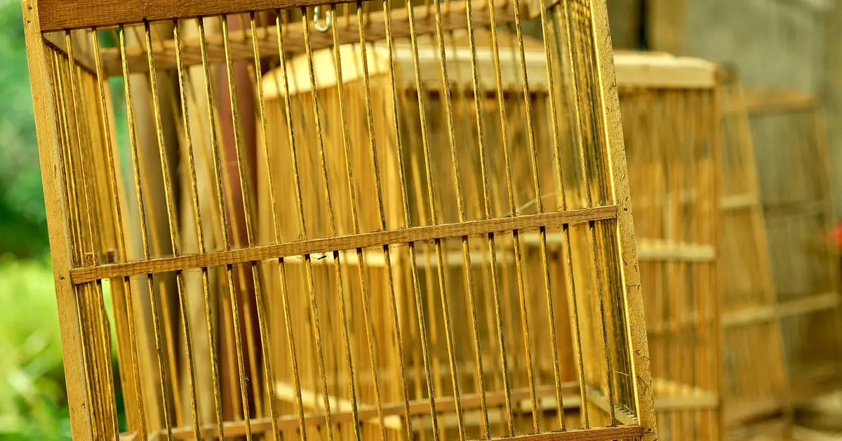 Close-up of a wooden multi-level bin cage with vertical bars and a sturdy frame, illustrating the top closure.