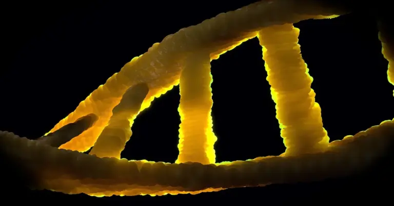 A close-up, glowing yellow DNA double helix spirals against a dark background, illustrating genetic comparison.
