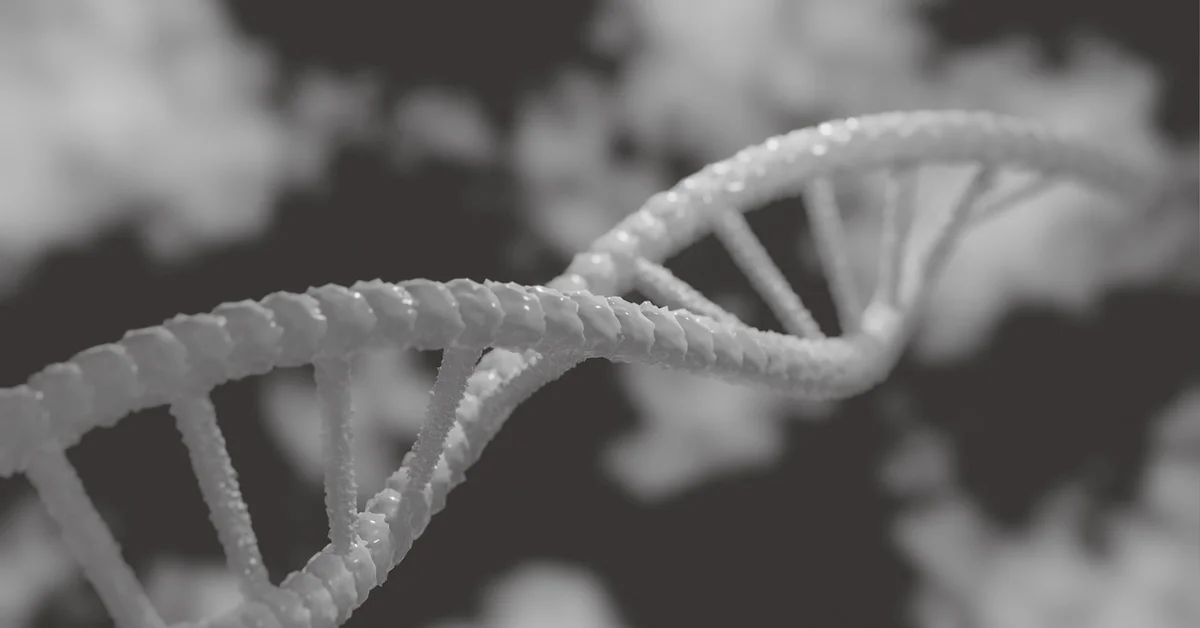 A close-up view of a DNA double helix structure