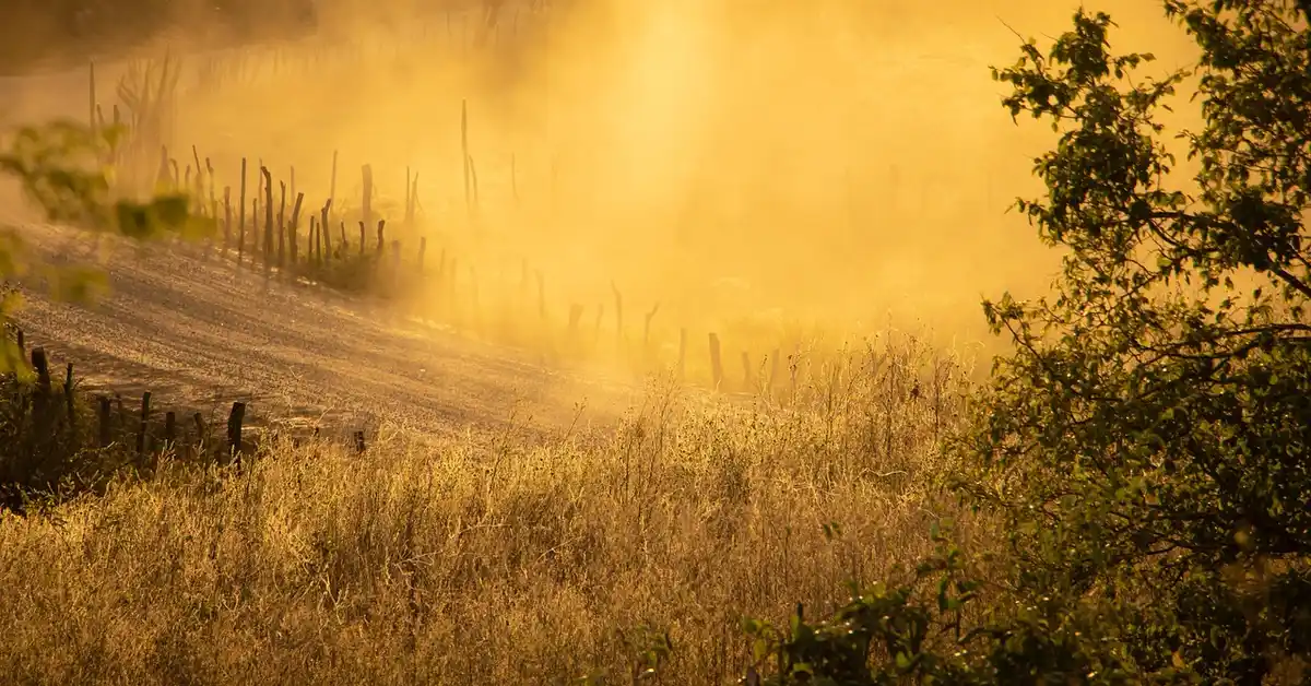 An image showing dust clouds in a rural landscape under sunlight.