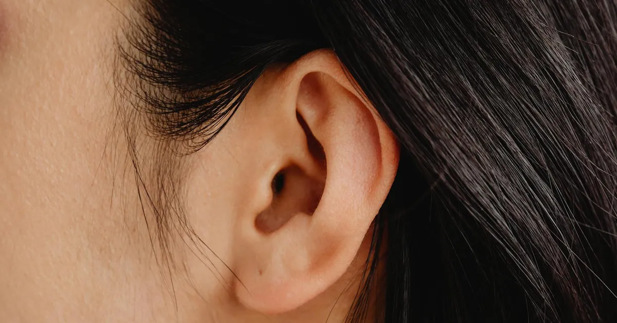 Close-up of a human ear showing normal appearance.