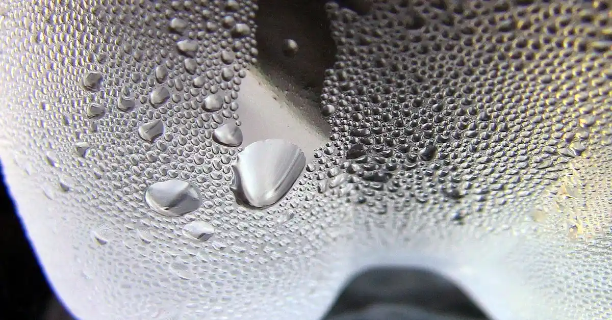 Close-up of water droplets on a surface