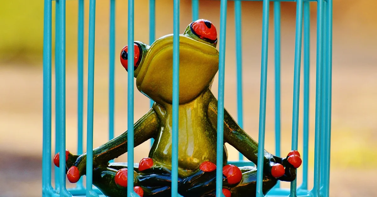Green frog in a blue metal wire cage with vertical bars