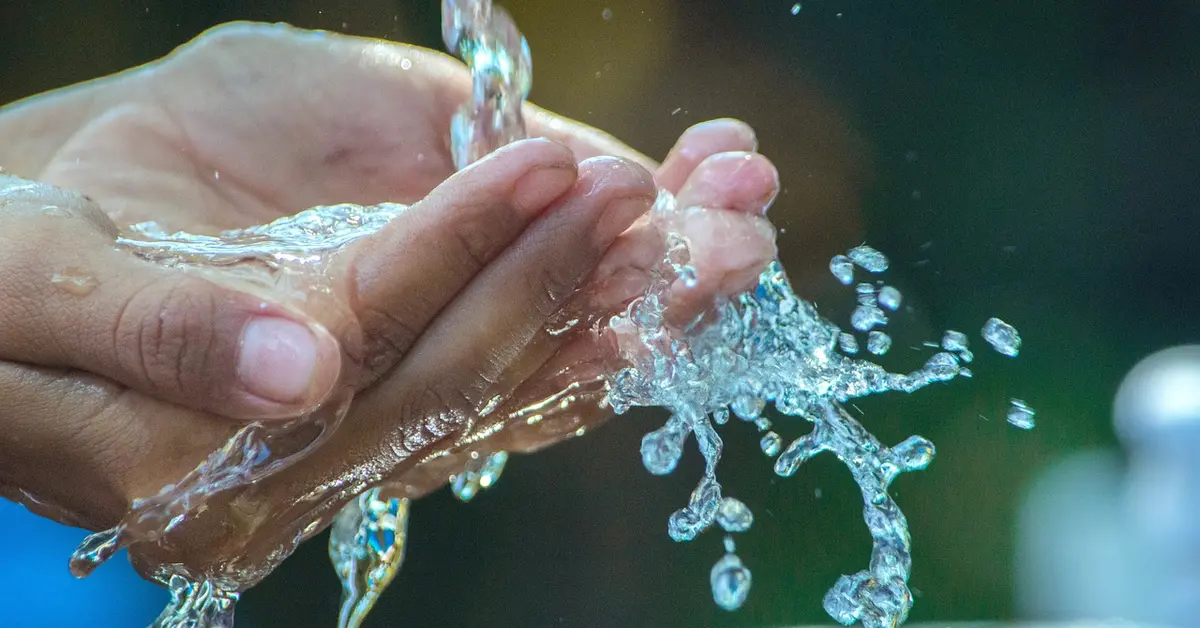 Close-up of hands under running water washing to maintain hygiene when handling pet mice.