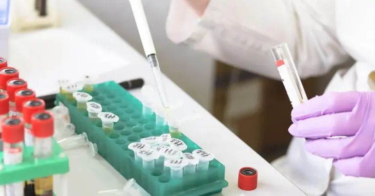A scientist wearing purple gloves uses a pipette to transfer liquid into a microcentrifuge tube rack, with rows of labeled tubes on a green rack in a laboratory.