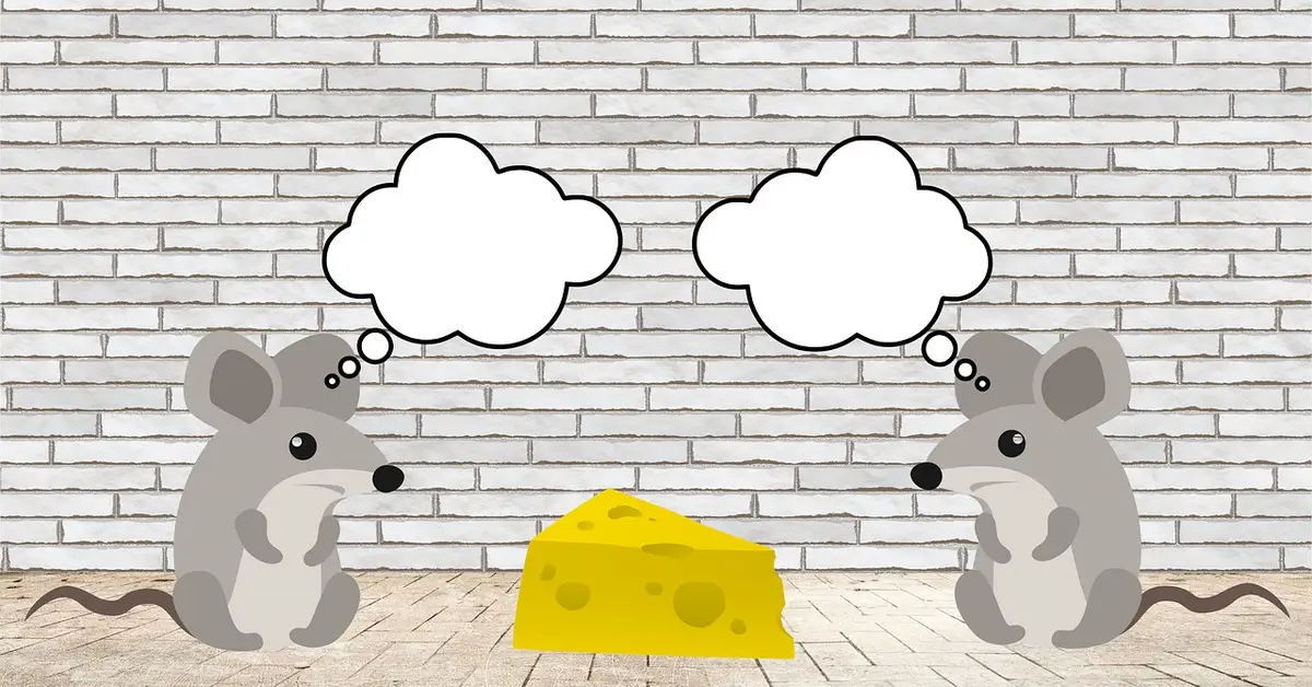 Two cartoon mice sit on a wooden floor facing each other with a piece of cheese between them, each mouse has a thought bubble, illustrating everyday communication cues.