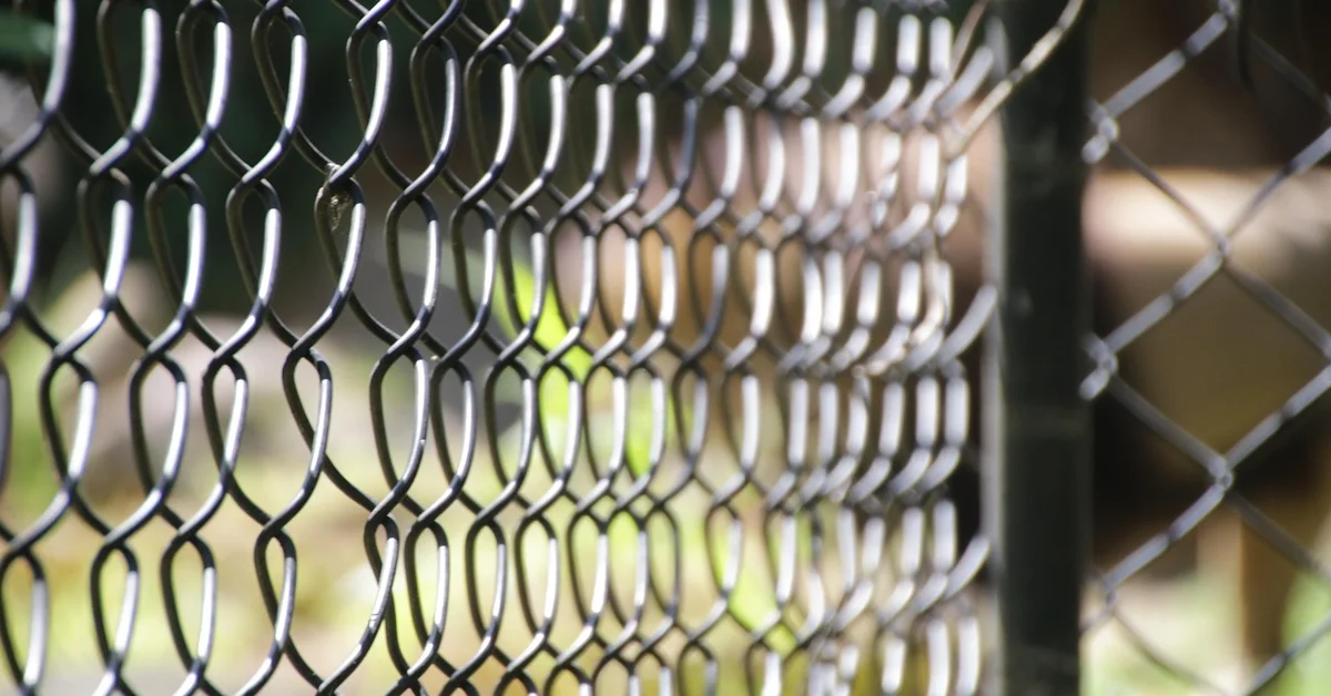 Close-up of metal wire mesh (chain-link) used in a mouse cage