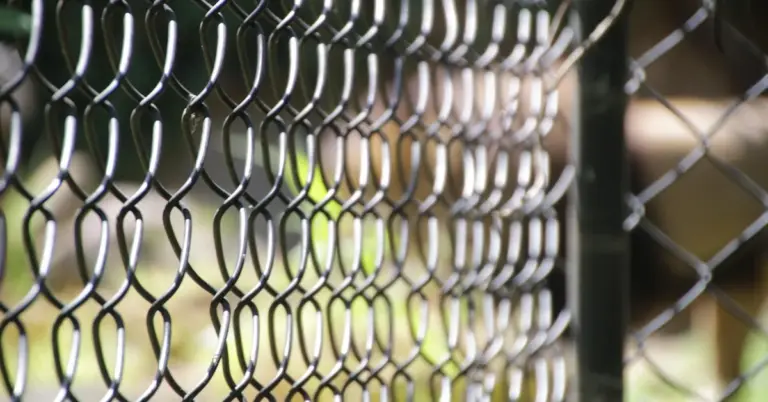 Close-up of a metal chain-link fence mesh, resembling a mouse cage.