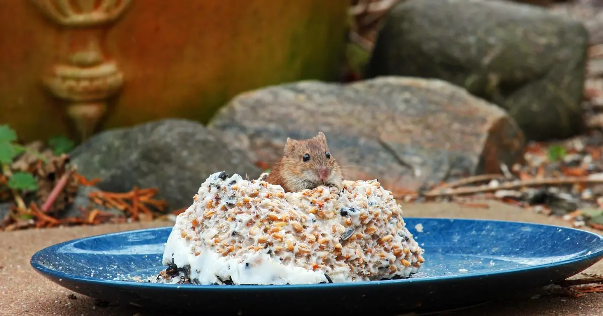 A small brown mouse perched on top of a mound of ice cream with nut topping on a blue plate outdoors.