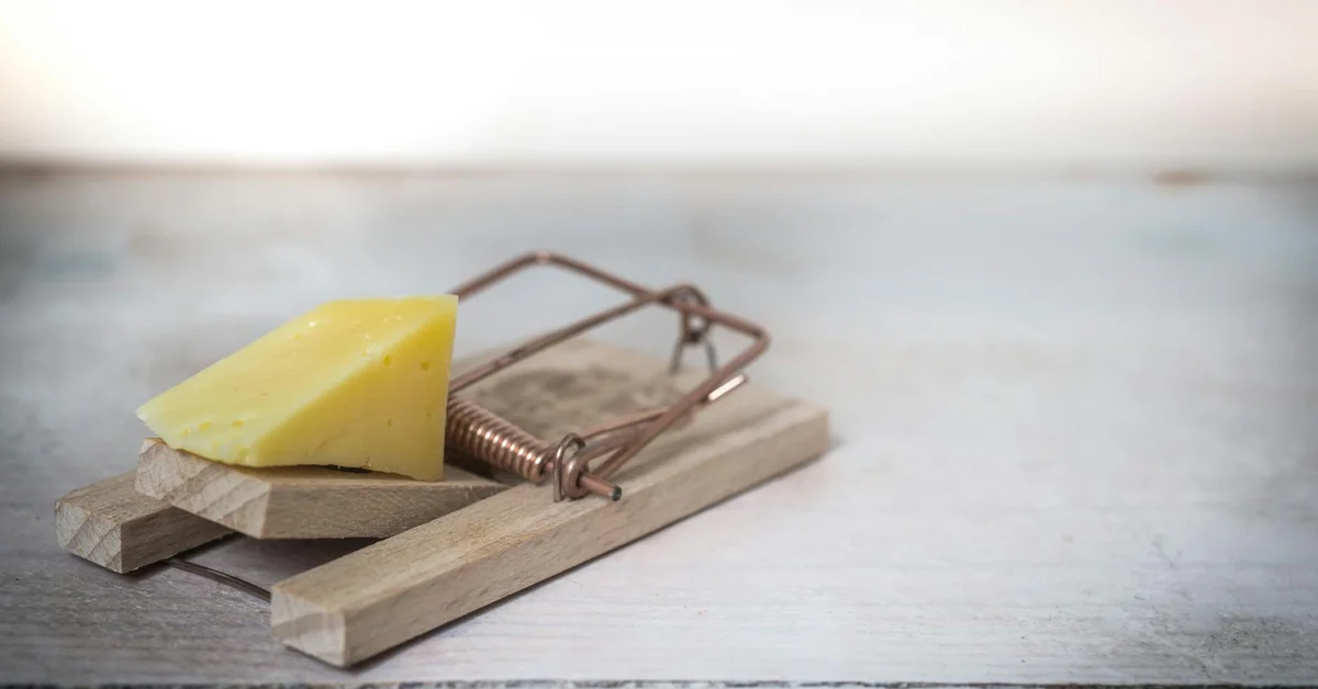 A wooden mouse trap baited with cheese on a white surface