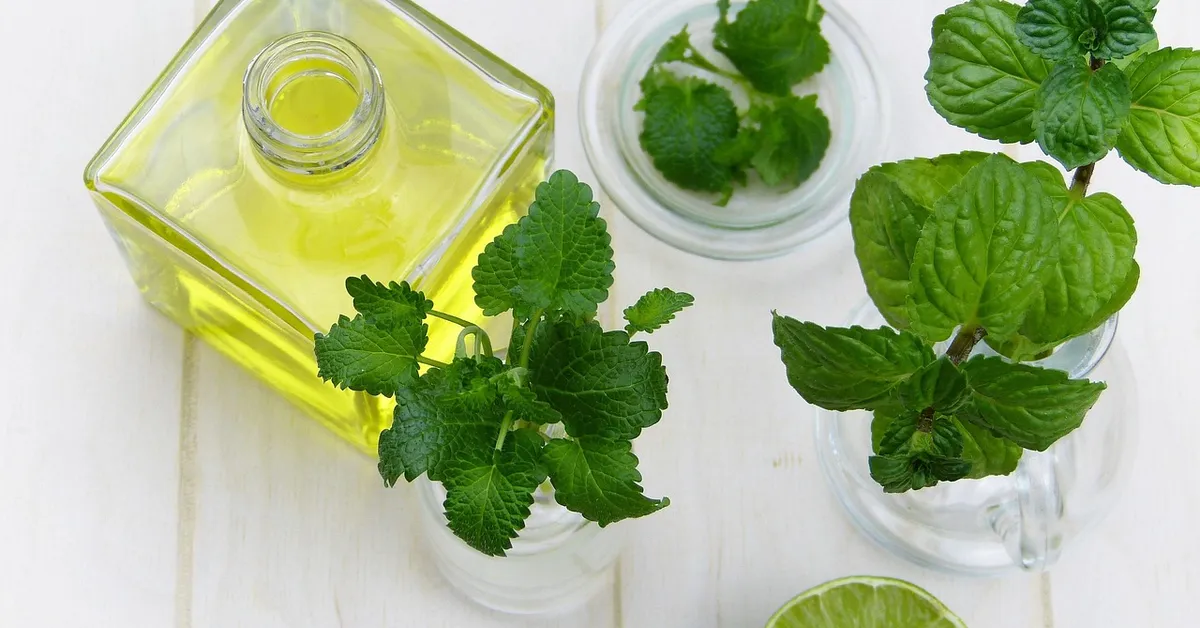 Top-down view of fresh mint sprigs and a bottle of yellow essential oil on a light wooden surface, illustrating natural scents used as humane mouse deterrents.