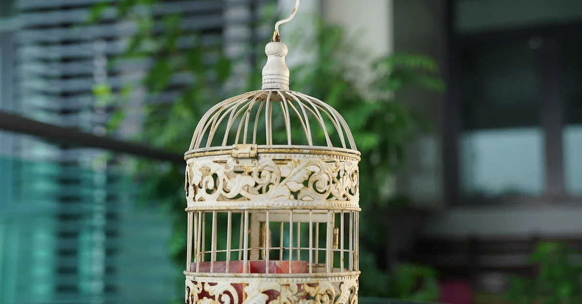 An ornate hanging metal birdcage with intricate scrollwork, outdoors against a blurred green background.