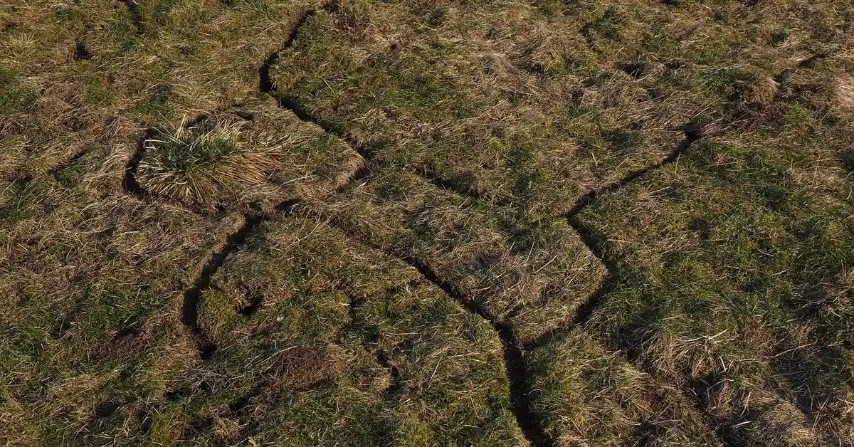 Aerial view of dry, cracked earth with sparse tufts of grass and moss, highlighting rugged terrain.