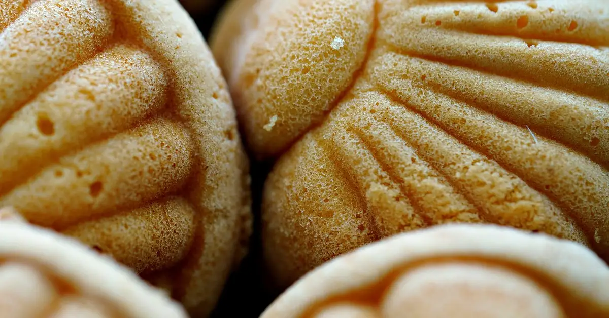 Close-up of golden-brown ridged pastries dusted with sugar
