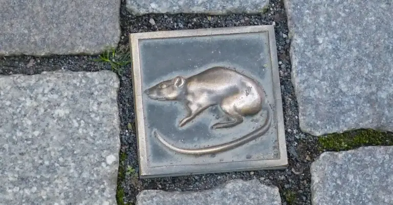Square metal plaque embedded in a cobblestone sidewalk, depicting a realistic mouse with a long curved tail.