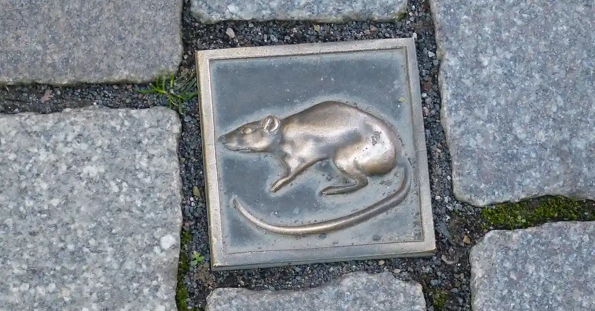 Square metal plaque embedded in a cobblestone sidewalk, depicting a realistic mouse with a long curved tail.