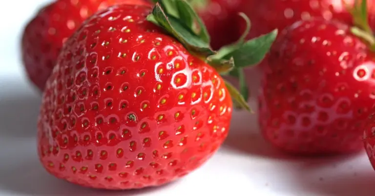 Close-up of fresh strawberries
