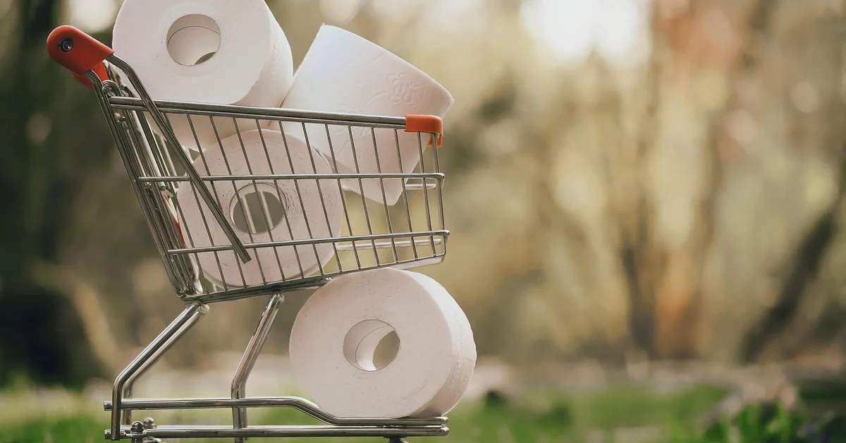 A metal shopping cart overflowing with white toilet paper rolls outdoors, with a blurred natural background.