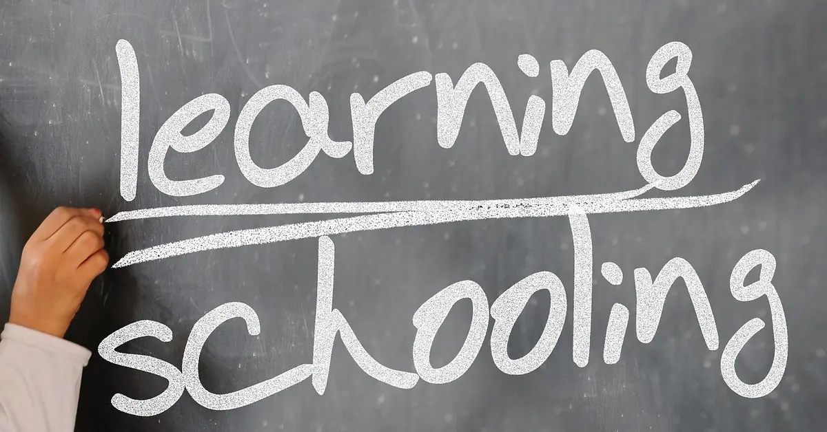 Chalkboard with the words 'learning' and 'schooling' written in white chalk, divided by a line.