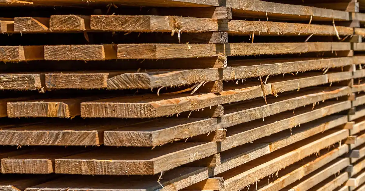 A large stack of weathered wooden boards piled in a yard, creating numerous gaps that can hide rodents.